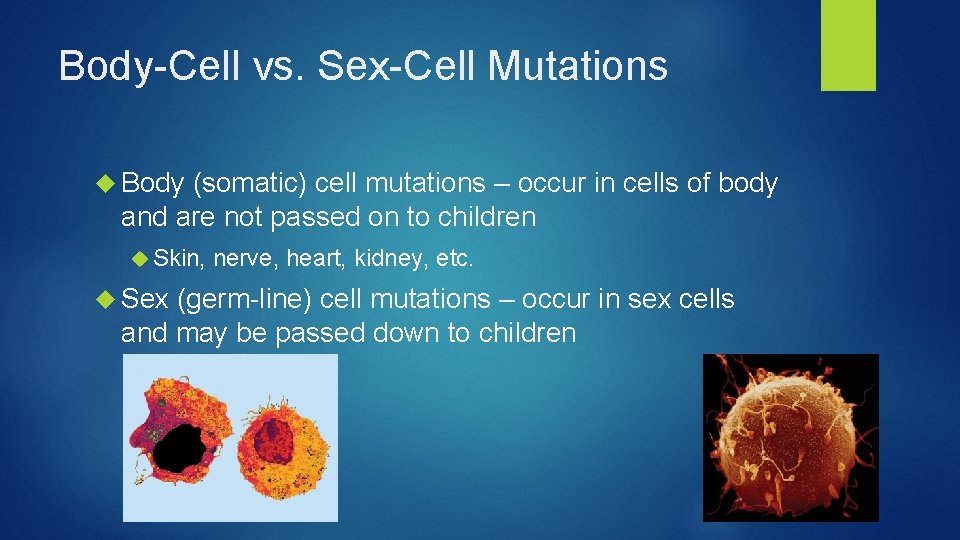 Body-Cell vs. Sex-Cell Mutations Body (somatic) cell mutations – occur in cells of body