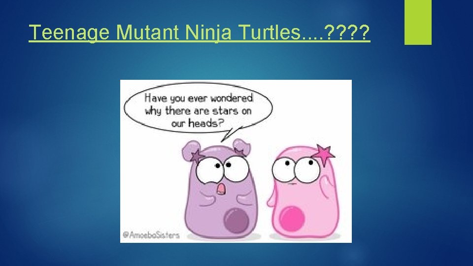 Teenage Mutant Ninja Turtles. . ? ? 