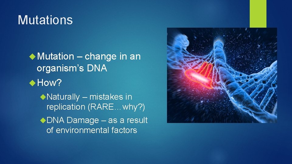Mutations Mutation – change in an organism’s DNA How? Naturally – mistakes in replication