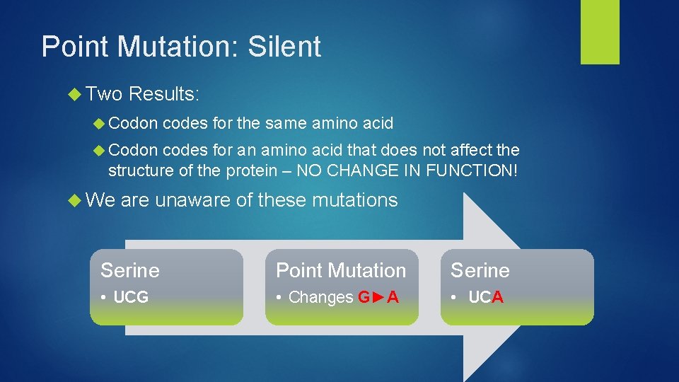 Point Mutation: Silent Two Results: Codon codes for the same amino acid Codon codes