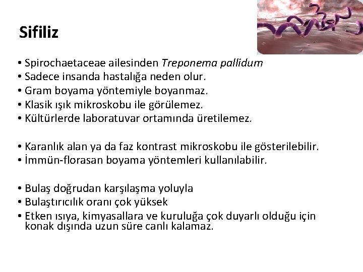 Sifiliz • Spirochaetaceae ailesinden Treponema pallidum • Sadece insanda hastalığa neden olur. • Gram