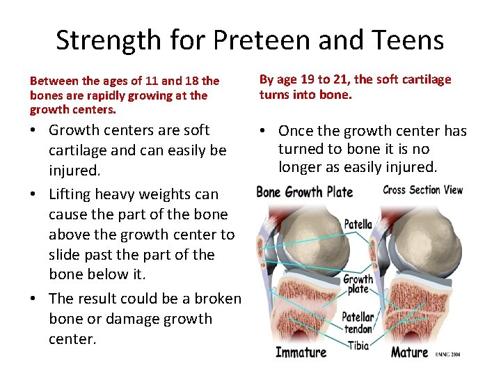 Strength for Preteen and Teens Between the ages of 11 and 18 the bones