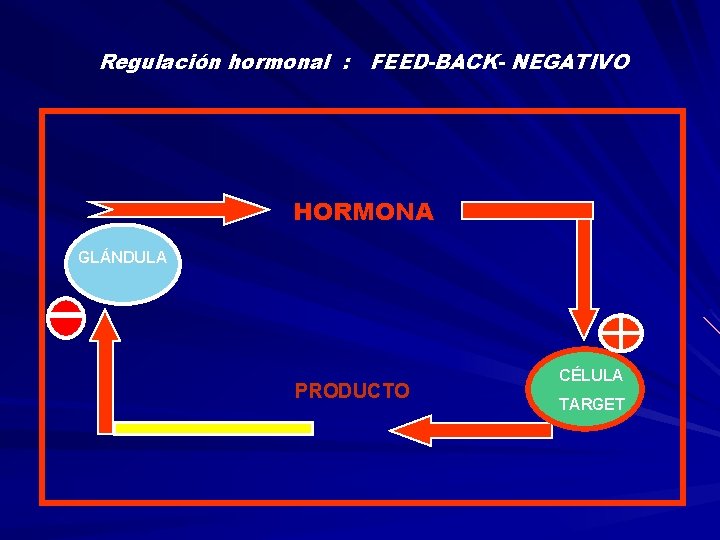 Regulación hormonal : FEED-BACK- NEGATIVO HORMONA GLÁNDULA PRODUCTO CÉLULA TARGET 