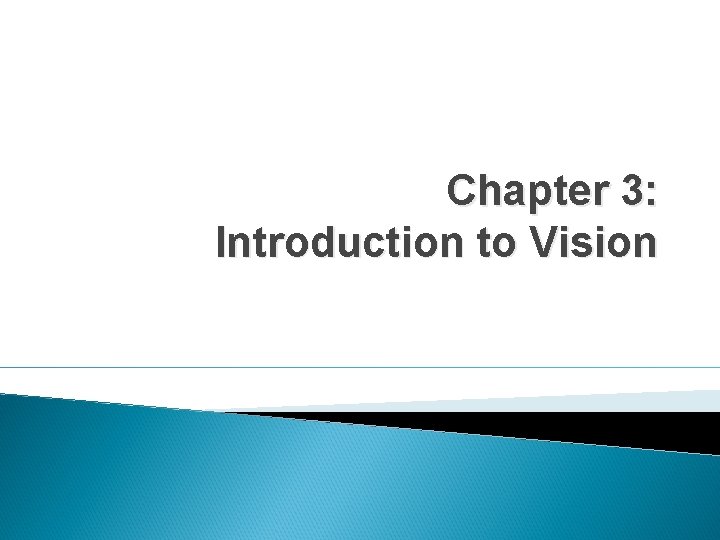 Chapter 3: Introduction to Vision 
