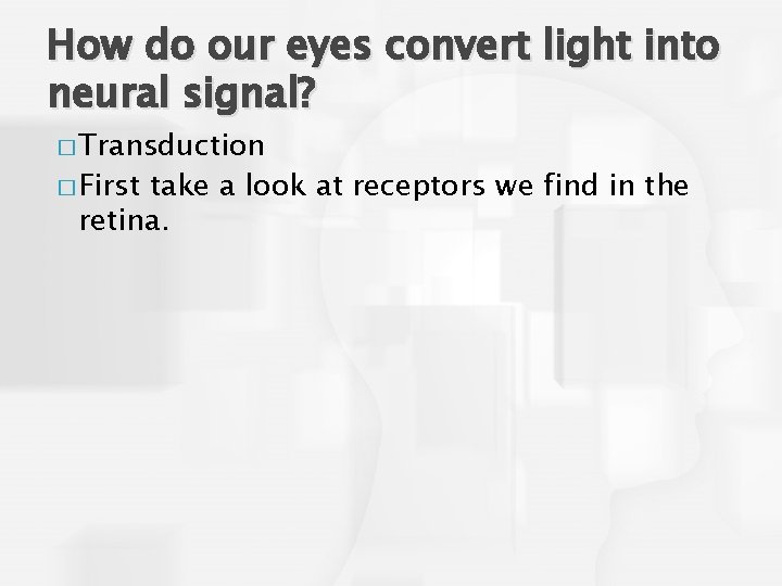 How do our eyes convert light into neural signal? � Transduction � First take
