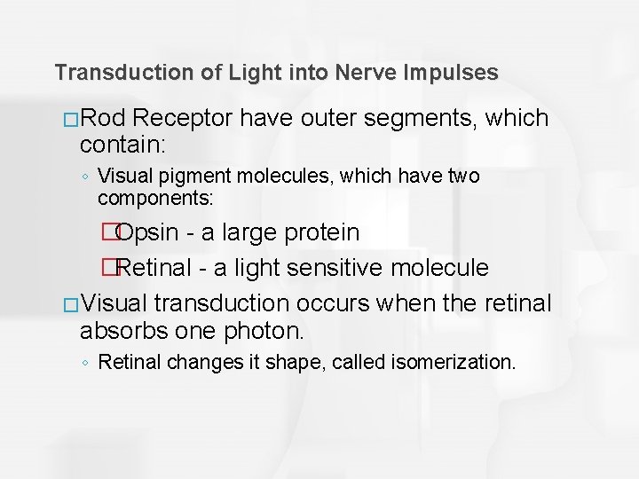 Transduction of Light into Nerve Impulses �Rod Receptor have outer segments, which contain: ◦