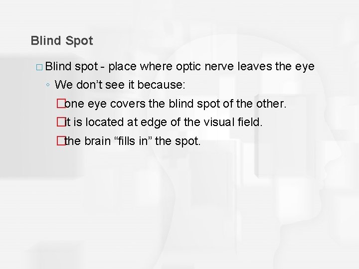 Blind Spot � Blind spot - place where optic nerve leaves the eye ◦