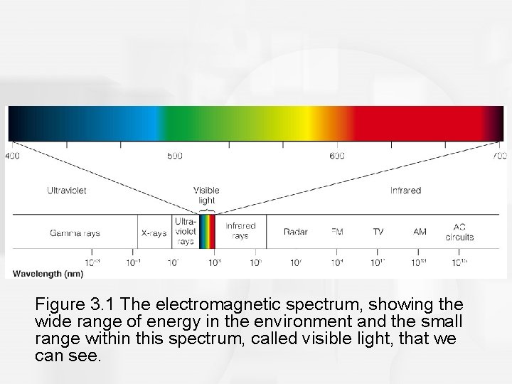 Figure 3. 1 The electromagnetic spectrum, showing the wide range of energy in the