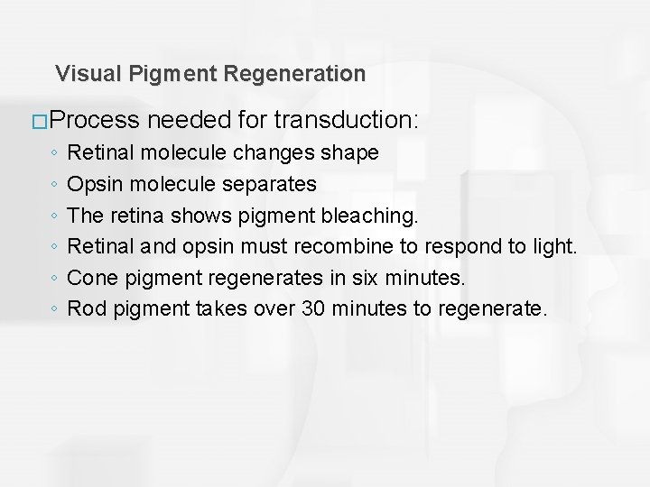 Visual Pigment Regeneration �Process ◦ ◦ ◦ needed for transduction: Retinal molecule changes shape