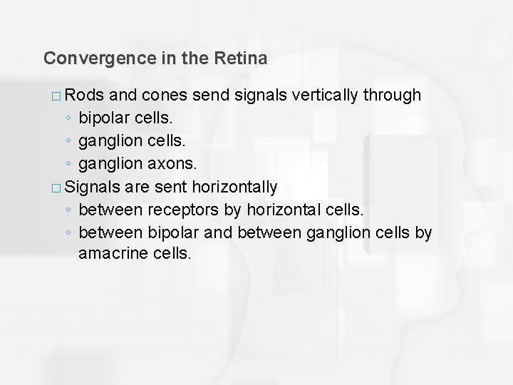 Convergence in the Retina � Rods and cones send signals vertically through ◦ bipolar