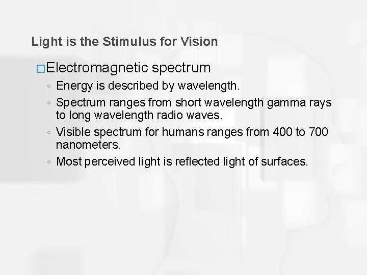 Light is the Stimulus for Vision �Electromagnetic spectrum ◦ Energy is described by wavelength.