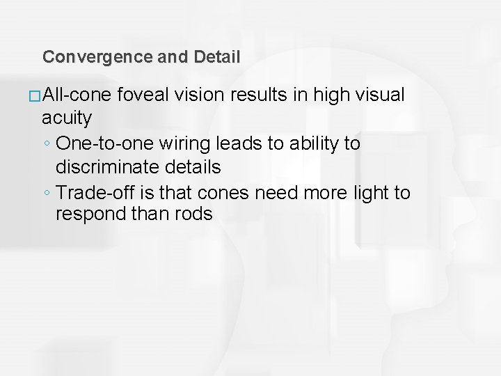 Convergence and Detail �All-cone foveal vision results in high visual acuity ◦ One-to-one wiring