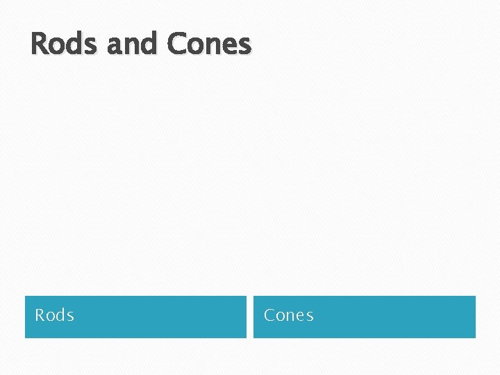 Rods and Cones Rods Cones 