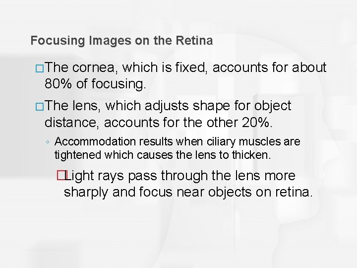 Focusing Images on the Retina �The cornea, which is fixed, accounts for about 80%