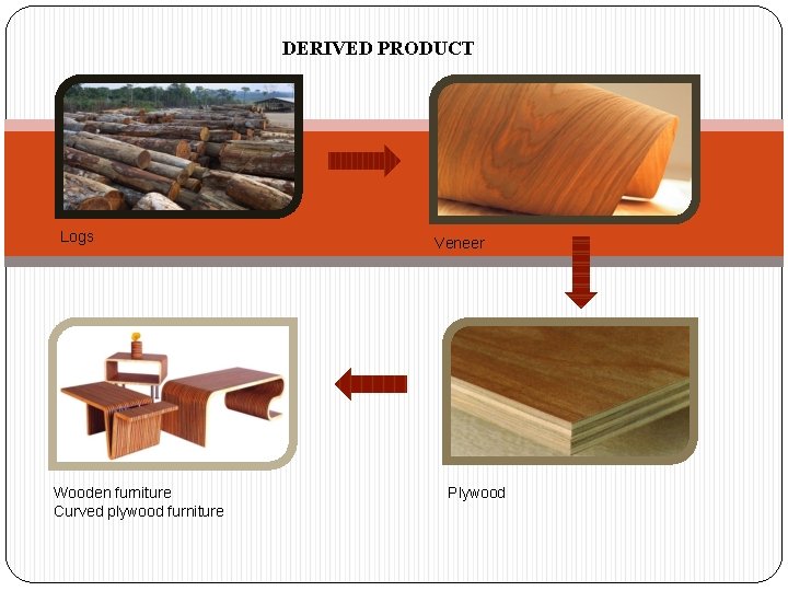 DERIVED PRODUCT Logs Wooden furniture Curved plywood furniture Veneer Plywood 