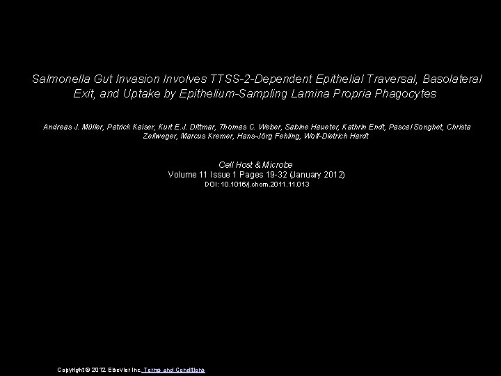 Salmonella Gut Invasion Involves TTSS-2 -Dependent Epithelial Traversal, Basolateral Exit, and Uptake by Epithelium-Sampling