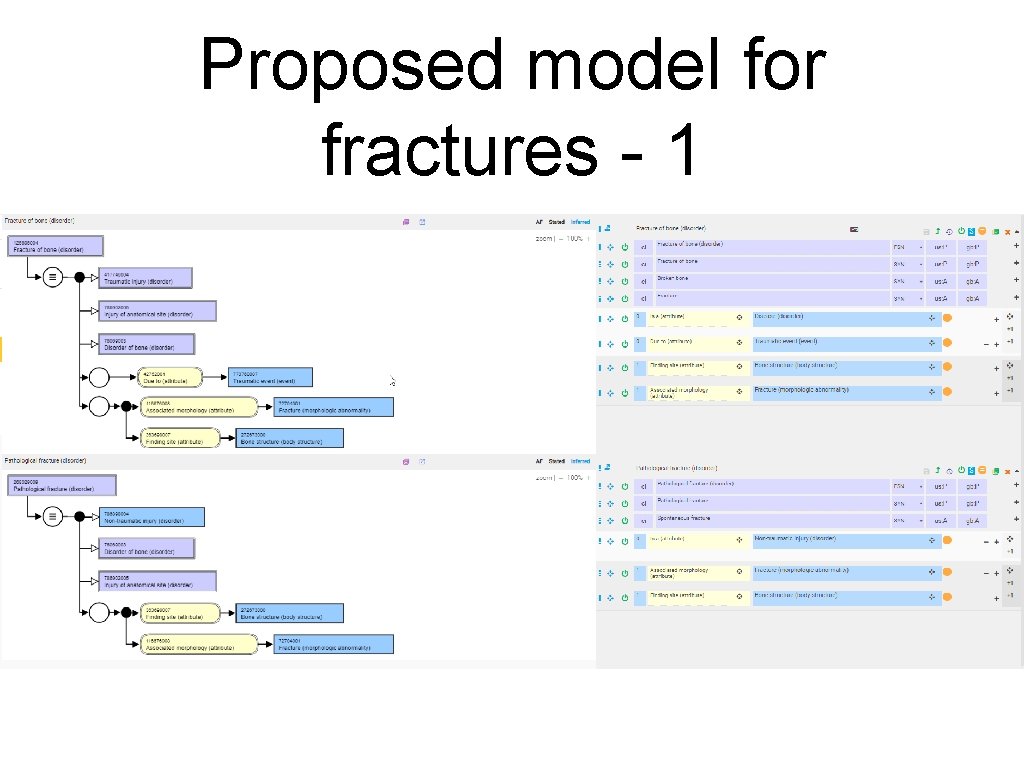 Proposed model for fractures - 1 