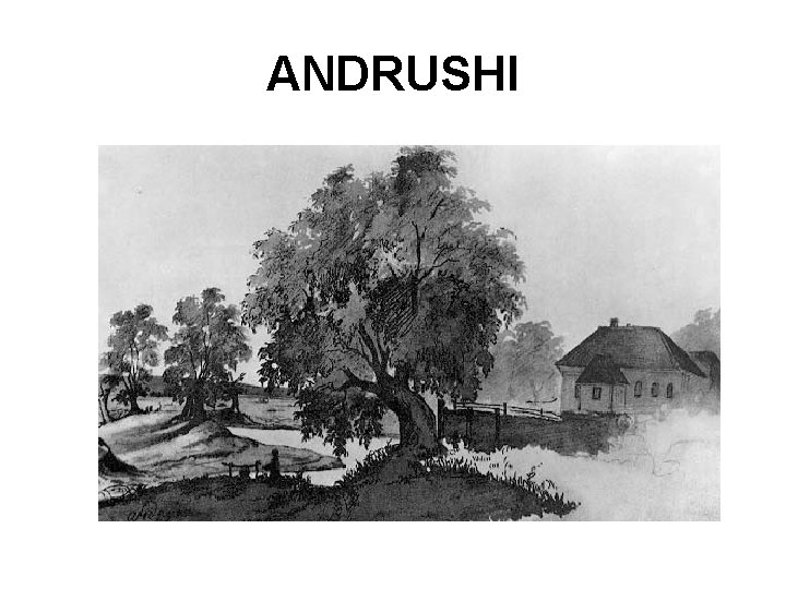 ANDRUSHI 