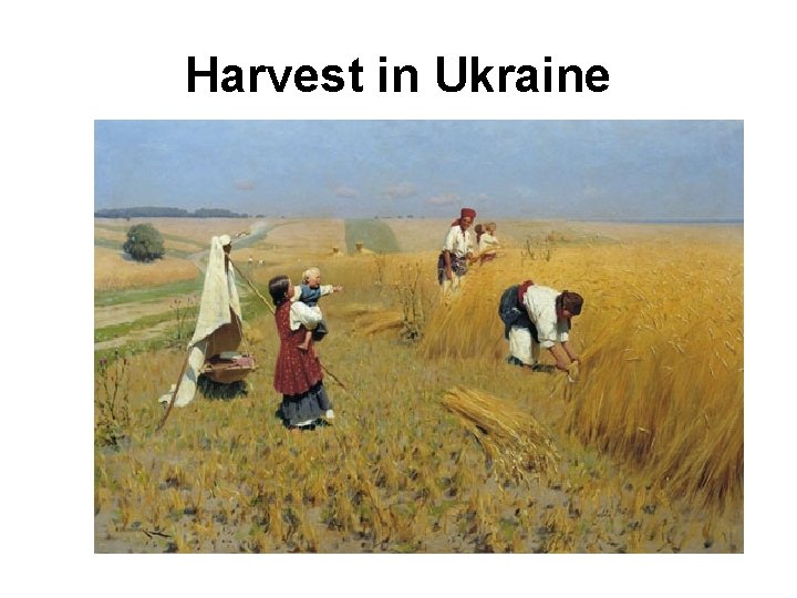 Harvest in Ukraine 