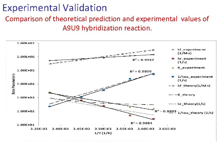 Experimental Validation Comparison of theoretical prediction and experimental values of A 9 U 9