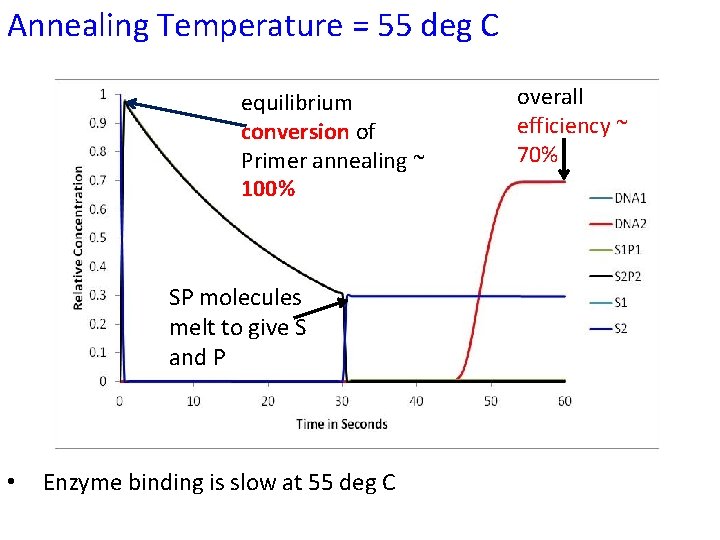 Annealing Temperature = 55 deg C equilibrium conversion of Primer annealing ~ 100% SP