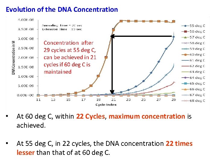 Evolution of the DNA Concentration after 29 cycles at 55 deg C, can be