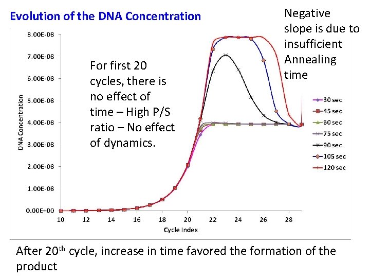 Evolution of the DNA Concentration For first 20 cycles, there is no effect of