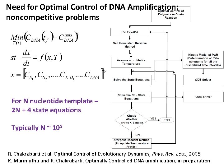 Need for Optimal Control of DNA Amplification: noncompetitive problems For N nucleotide template –