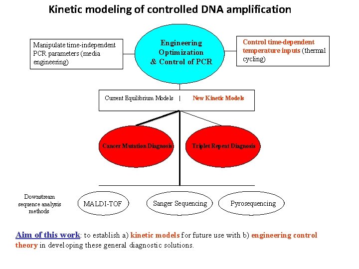 Kinetic modeling of controlled DNA amplification Manipulate time-independent PCR parameters (media engineering) Engineering Optimization