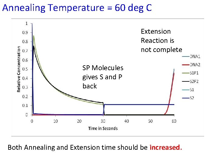 Annealing Temperature = 60 deg C Extension Reaction is not complete SP Molecules gives