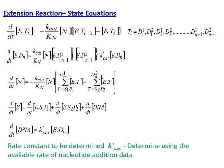 Extension Reaction– State Equations Rate constant to be determined k’cat - Determine using the
