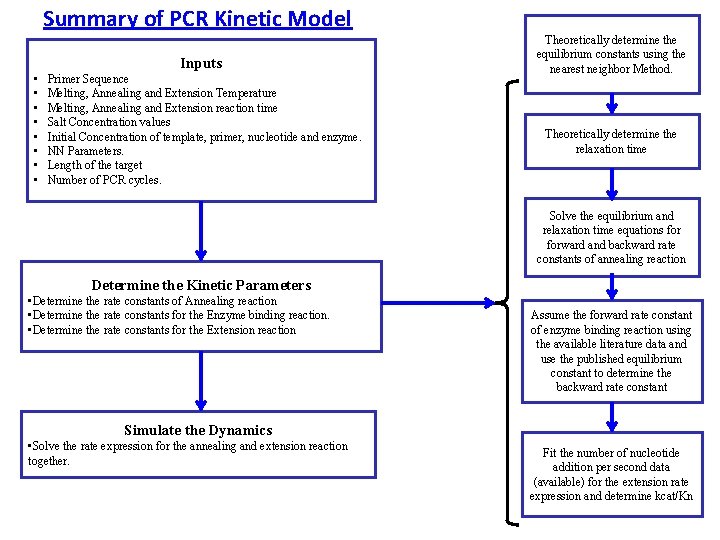 Summary of PCR Kinetic Model Inputs • • Primer Sequence Melting, Annealing and Extension