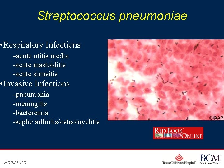 Streptococcus pneumoniae • Respiratory Infections -acute otitis media -acute mastoiditis -acute sinusitis • Invasive