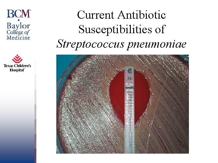 Current Antibiotic Susceptibilities of Streptococcus pneumoniae 