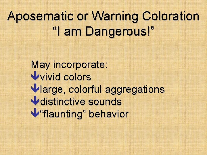 Aposematic or Warning Coloration “I am Dangerous!” May incorporate: vivid colors large, colorful aggregations