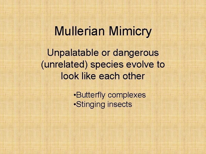 Mullerian Mimicry Unpalatable or dangerous (unrelated) species evolve to look like each other •