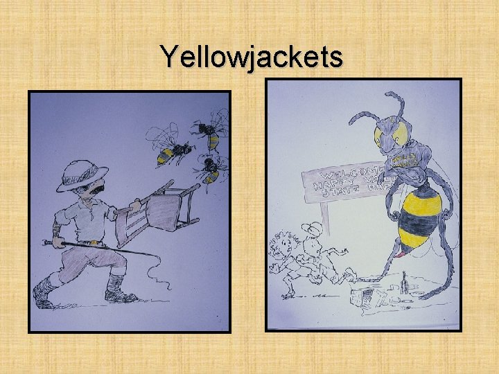 Yellowjackets 