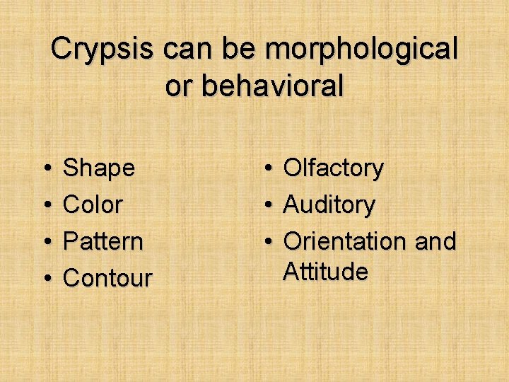 Crypsis can be morphological or behavioral • • Shape Color Pattern Contour • Olfactory