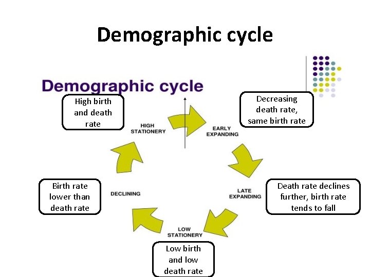 Demographic cycle Decreasing death rate, same birth rate High birth and death rate Birth Demographic cycle Decreasing death rate, same birth rate High birth and death rate Birth