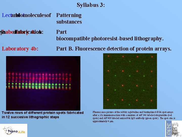 Syllabus 3: Lecture 4: and biomolecules of Patterning substances ays ein Laboratory 4 a: