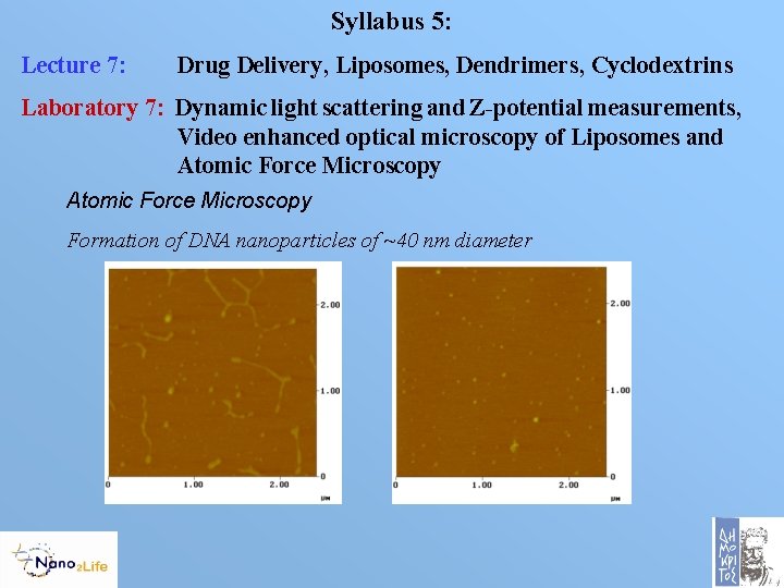 Syllabus 5: Lecture 7: Drug Delivery, Liposomes, Dendrimers, Cyclodextrins Laboratory 7: Dynamic light scattering