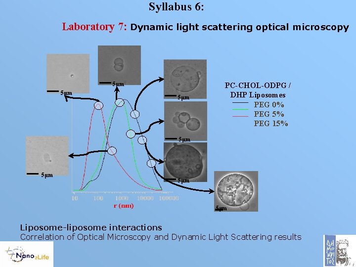 Syllabus 6: Laboratory 7: Dynamic light scattering optical microscopy 5μm 5μm PC-CHOL-ODPG / DHP