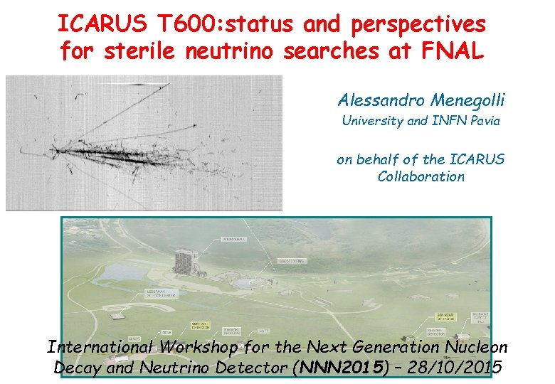 ICARUS T 600: status and perspectives for sterile neutrino searches at FNAL Alessandro Menegolli