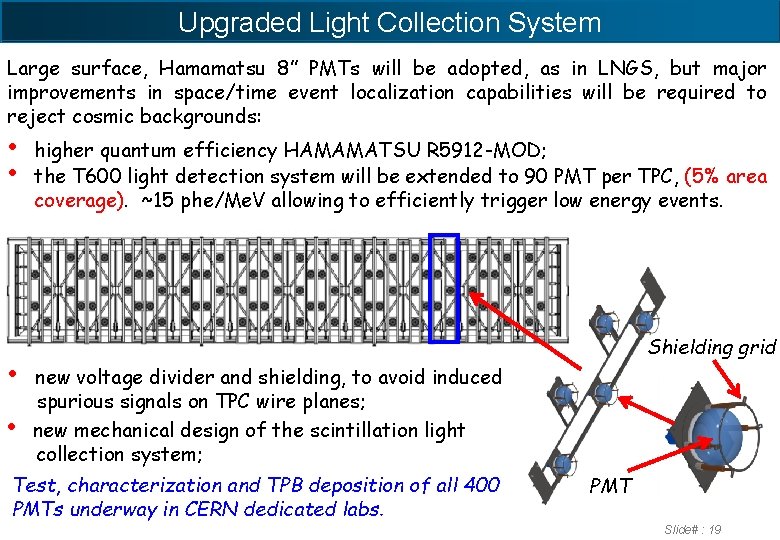 Upgraded Light Collection System Large surface, Hamamatsu 8” PMTs will be adopted, as in