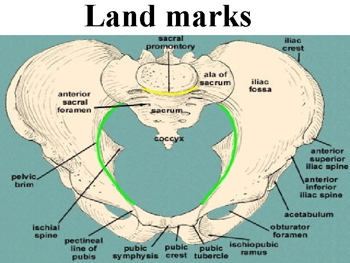 Land marks 