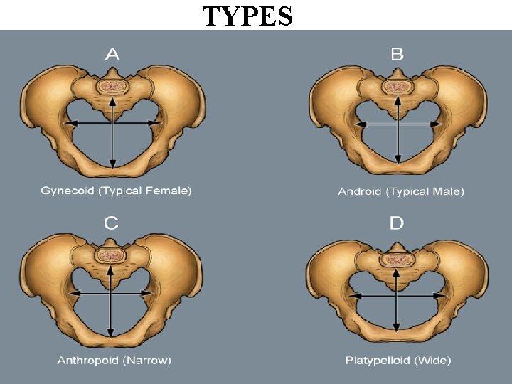 TYPES 