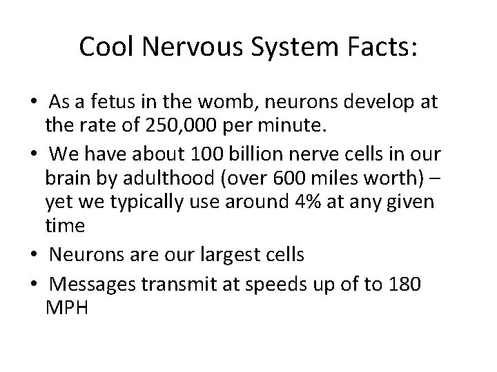 Cool Nervous System Facts: • As a fetus in the womb, neurons develop at