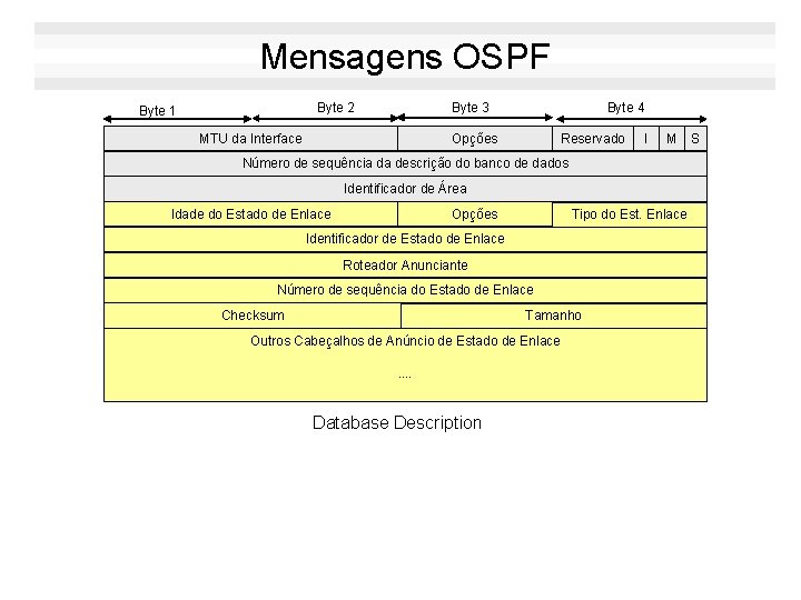 Mensagens OSPF Byte 2 Byte 1 Byte 3 MTU da Interface Byte 4 Opções