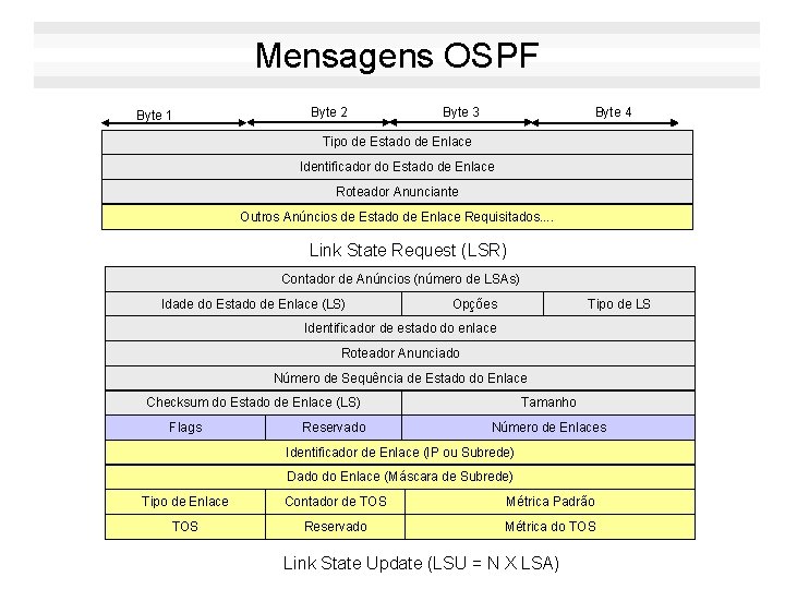 Mensagens OSPF Byte 1 Byte 2 Byte 3 Byte 4 Tipo de Estado de