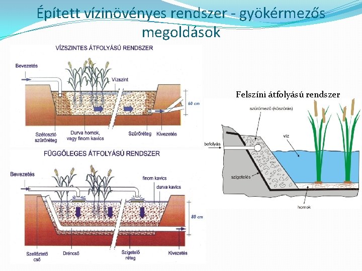 Épített vízinövényes rendszer - gyökérmezős megoldások Felszíni átfolyású rendszer 